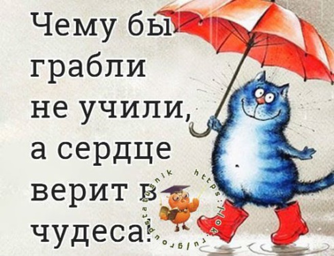 Чему бы грабли не учили а сердце верит в чудеса картинки