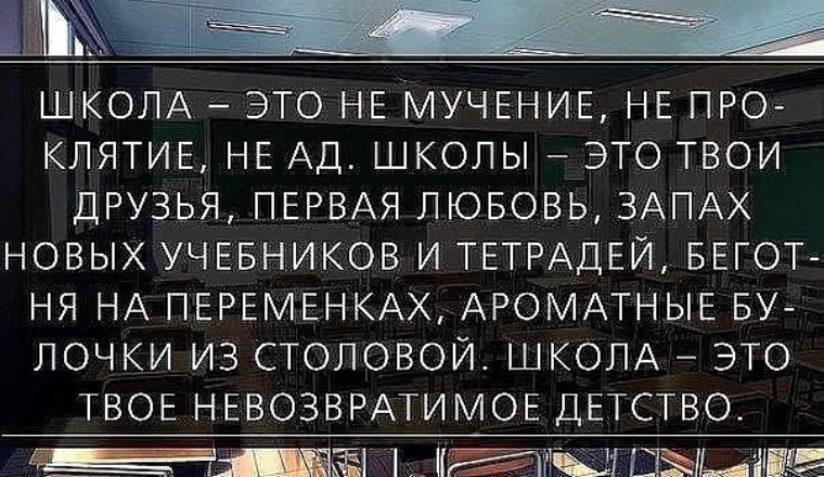 Цитаты о школе (412 цитат)