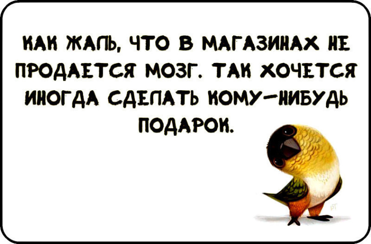 Господи даруй людям мозг а некоторым еще инструкцию по применению картинка