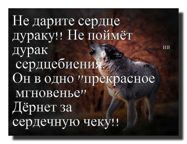 Картинки понял не дурак, открытки
