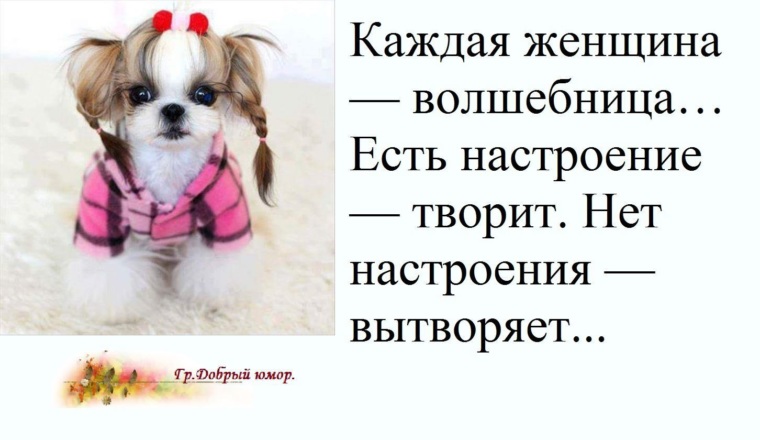 Картинки с надписью настроения ноль, доброго