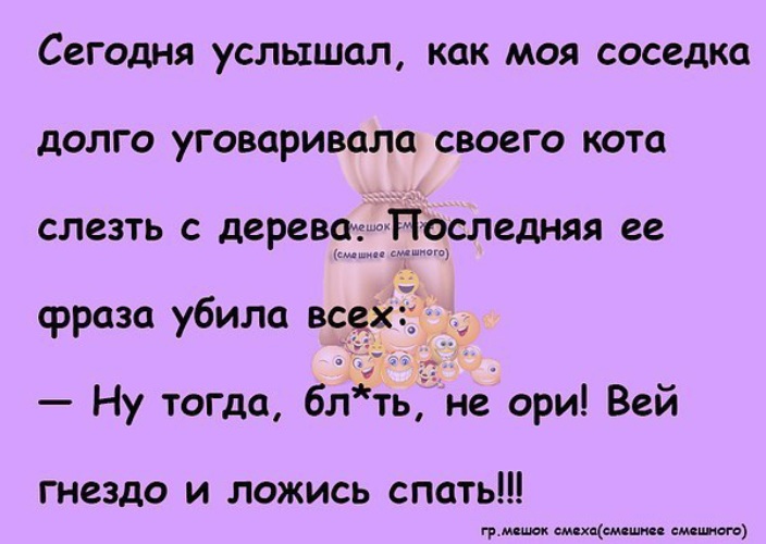 Я прошу ломай меня полностью. Вей гнездо и ложись спать. Коварные девушки анекдот. Анекдот про женщину с которой бухнуть можно. Долго уламывал девушку.