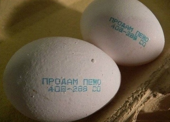 Образец объявления о продаже яиц