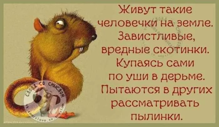 Прикольные картинки для завистников и сплетников