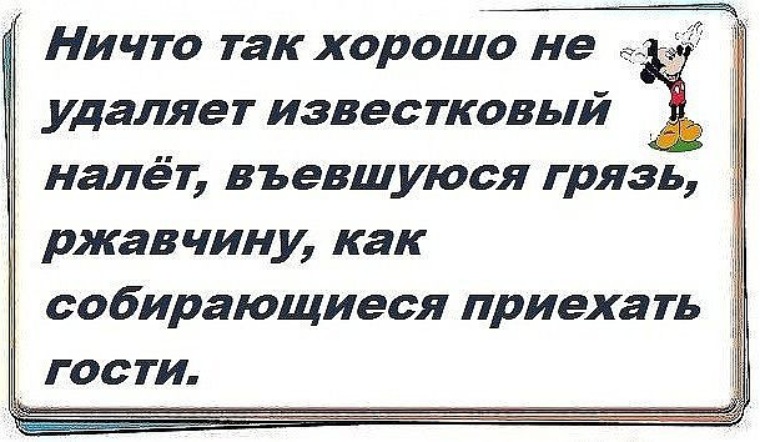 Выводить хорошо. Юмор про гостей и уборку. Ничто так не мотивирует. Ничто так не мотивирует как приезд гостей. Ничто так не очищает известковый налет и грязь как гости.