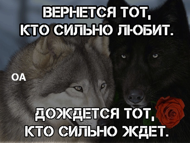 Твой человек не тот кому с тобой хорошо а тот кому без тебя плохо картинки