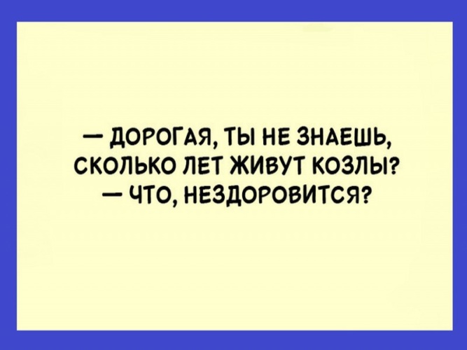 Не здоровится. Дорогая ты не знаешь сколько лет живут козлы. Сколько живут козлы. Сколько лет живут козлы. Анекдоты про нездоровится.