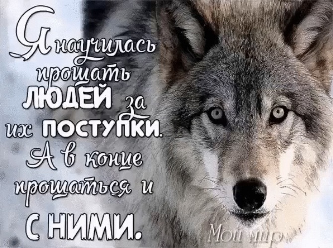 Картинка волчица с надписями
