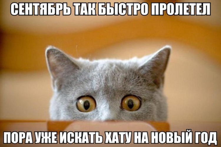 Мем Скоро Новый Год Мем Скоро Новый Год