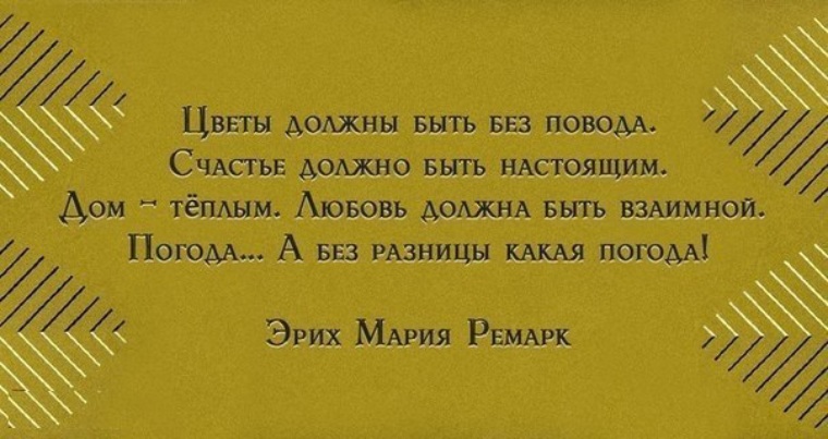 Цитаты про чувства. Открытки пожрать и поспать. Биологические анекдоты смешные. Цитаты про займ денег. Цитаты про долг.