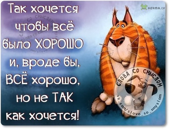 Картинки с надписями прикольные хорошее настроение со смыслом оригинальные про жизнь