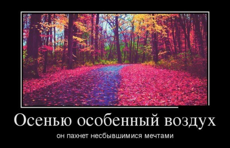 В воздухе пахнет. Демотиваторы про осень. Демотиваторы про осень смешные. Демотиваторы ржачные про осень. Демотиваторы осеннее обострение.