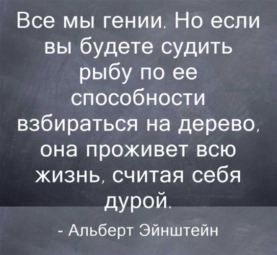 Жизнь судимого. Каждый судит со своей колокольни. Если судить рыбу по ее способности взбираться на дерево. Каждый судит со своей колокольни цитаты. Стихотворение не суди со своей колокольни.