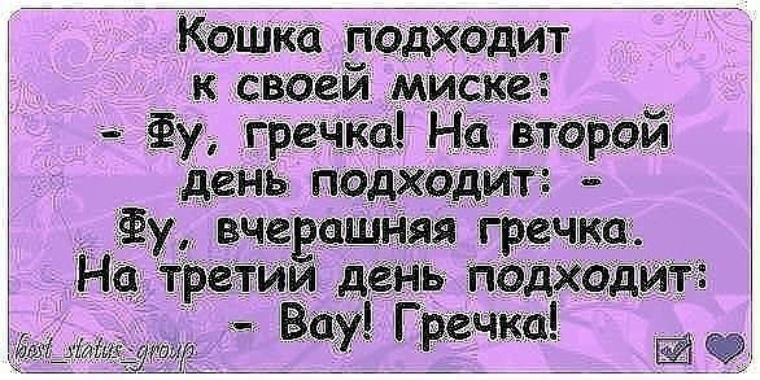 о доме надо думать анекдот. анекдот про кота и гречечку. анекдот про гречку. анекдот про кота и гречку вау гречка. анекдот про кота и гречку.