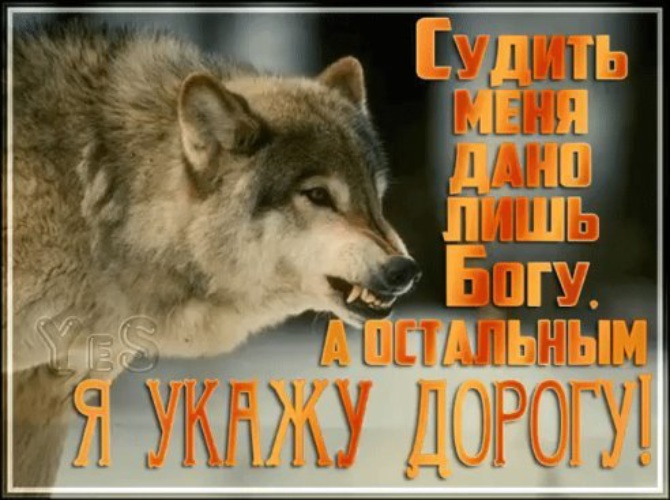 Одинокий волк фото на аву с надписью