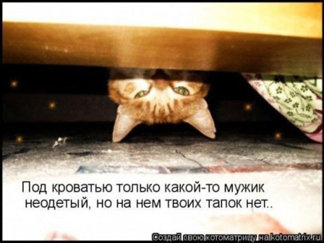 Хватит подсматривать вылезай из под кровати