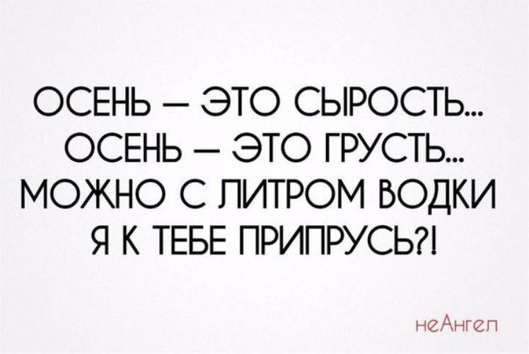 Можно грустно. Осень сырость. Осень это сырость осень это грусть. Осень это сырость осень это грусть можно с литром водки я. С литром водки я к тебе припрусь.