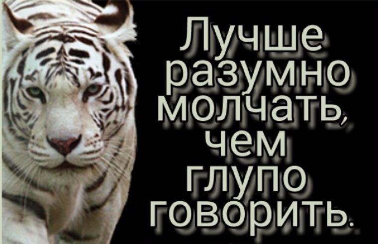 Молчать ч. Лучше молчать чем говорить. Лучше разумно молчать. Лучше разумно молчать чем глупо говорить. Лучше молчать.