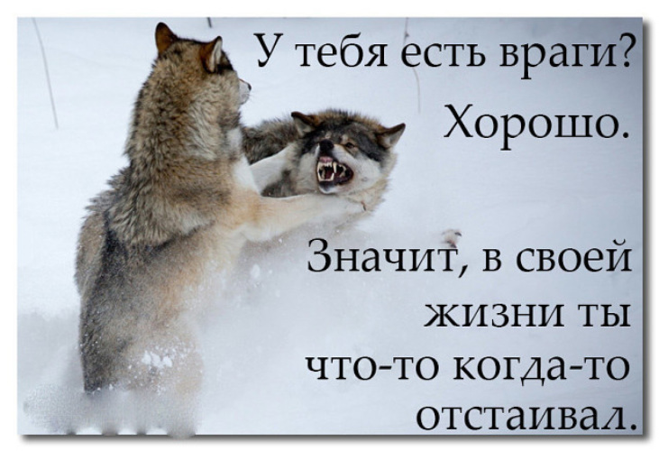 Лучший враг хорошего. Хорошее враг лучшего. Отличное враг хорошего. Лучшее враг хорошего цитаты. Лучшее враг хорошего афоризм.