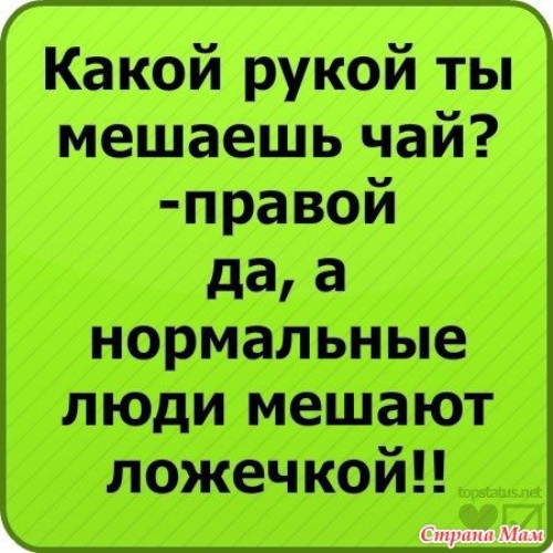 Норм статусы. Прикольные статусы в ВК. Крутые шутки для ВК. Статусы смешные до слёз. Крутые смешные статусы.