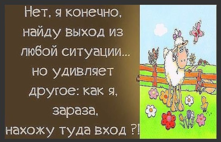 Конечно найду. Нахожу выход из любой ситуации. Найду выход из любой ситуации. Я нахожу выход из любой ситуации. Я конечно найду выход из любой ситуации.