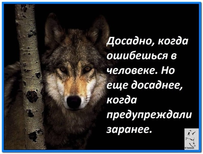 Досадно это. Обидно досадно. Обидно но факт. Обидно досадно но ладно картинки со словами. Что значит досадно.