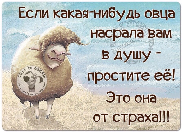 позитивные открытки про жизнь объявления сельскохозяйственной
