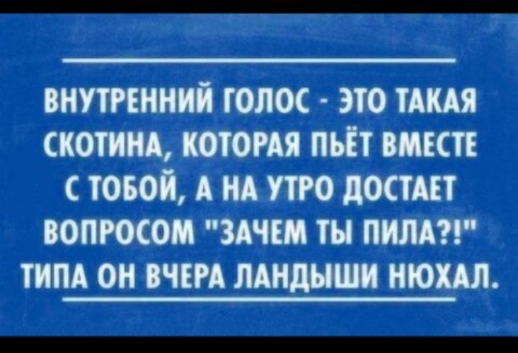 Внутренний голос другого человека. Внутренний голос это такая скотина которая пьет вместе с тобой. Внутренний голос юмор. Внутренний голос прикол. Внутренний голос говорит.