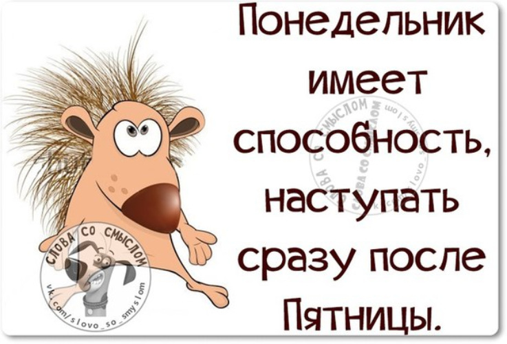 Сразу приходит. Цитаты про понедельник прикольные. Статусы про понедельник. Высказывания про понедельник смешные. Понедельник приколы афоризмы.