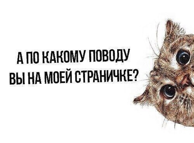 Заходи на страницу. А по какому поводу вы на моей странице картинки. На моей страничке интересно. Что вам нужно на моей странице картинки. Ползают по моей странице.