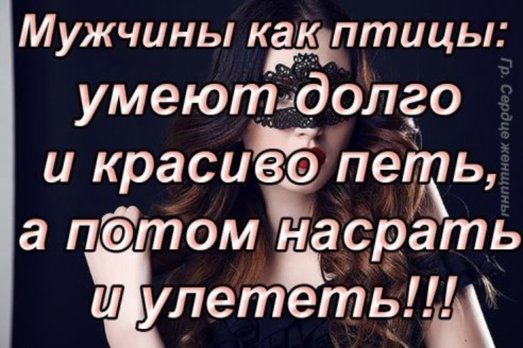 Статус пою. Мужчина как птица долго и красиво петь. Мужчины как птицы умеют долго и красиво. Мужики как птицы умеют долго и красиво петь. Мужчины как птицы умеют долго.