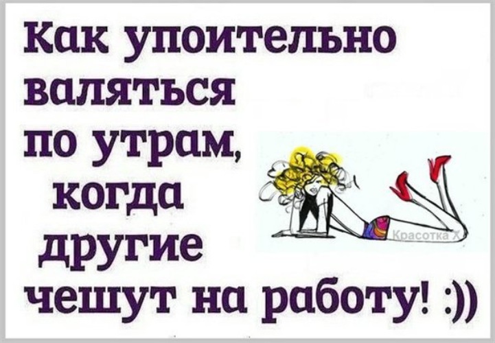 Картинки как хорошо валяться по утрам когда другие чешут на работу картинки