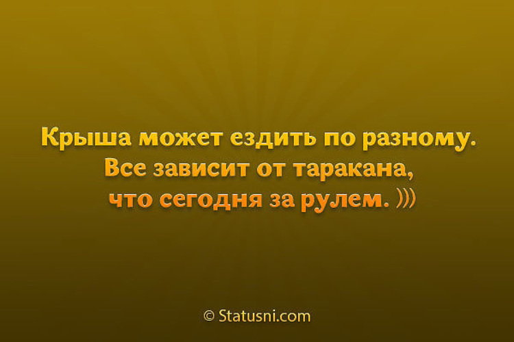 Моя крыша может ездить по разному все зависит от таракана который сегодня за рулем картинки