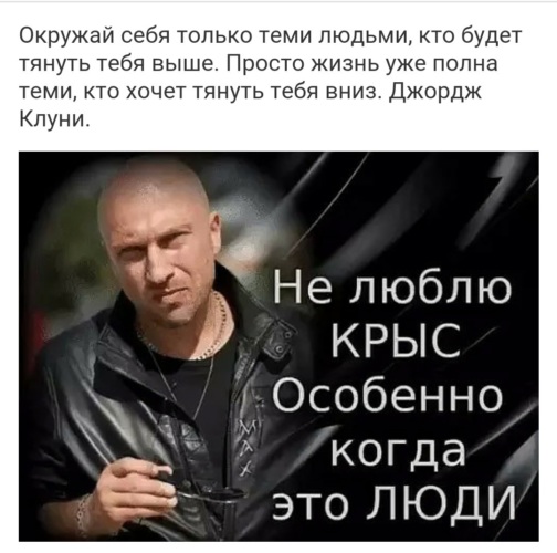 Не люблю крыс особенно когда это люди картинки