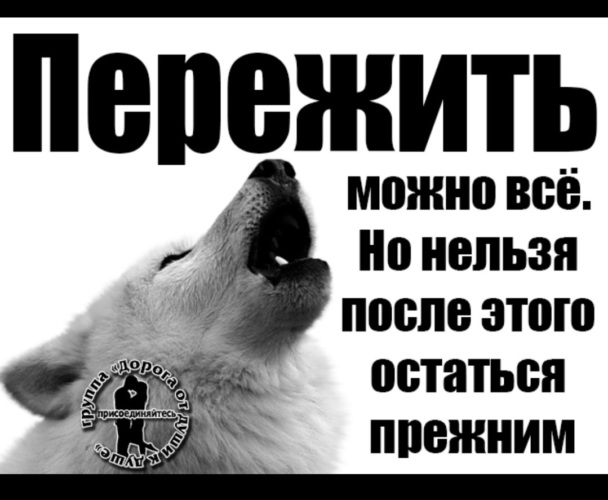 Все переживем. Пережить можно всё. Нельзя после этого остаться прежним.... Пережить можно все. Всё можно пережить.