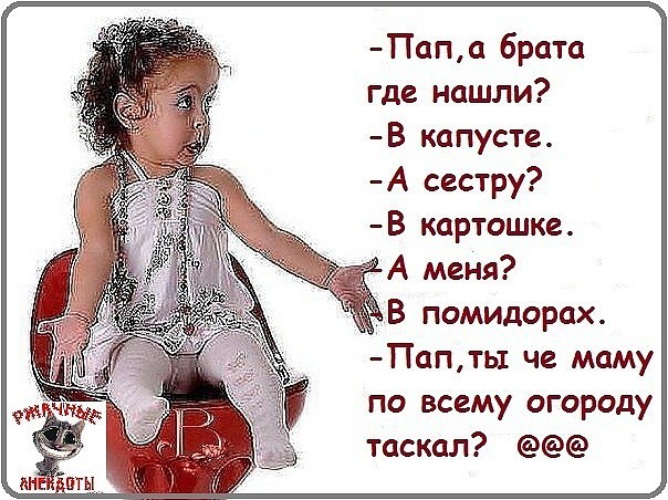 Вопрос к папе где мама. Плати алименты мем. Откуда взялся человек. Пап где. Алименты мем.