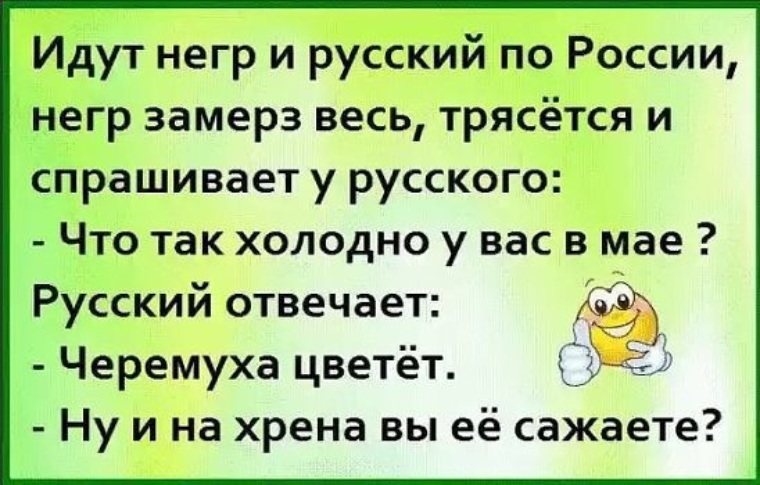 Так холодно. Смешные анекдоты. Анекдот про черемуху. Анекдоты самые смешные. Анекдот про Черемуховые холода.