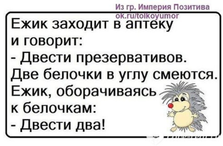 Ежики шутка. Анекдот про ежика. Анекдот про ежика и презервативы. Анекдот про ежа. Анекдот про ежика а аптеке.