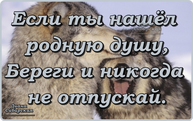 Береги мою душу. Берегите душу. Берегите родную душу. Если ты нашел родную душу береги. Береги свою душу.