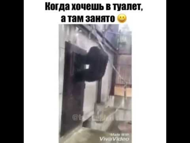 Всегда хочется в туалет по маленькому