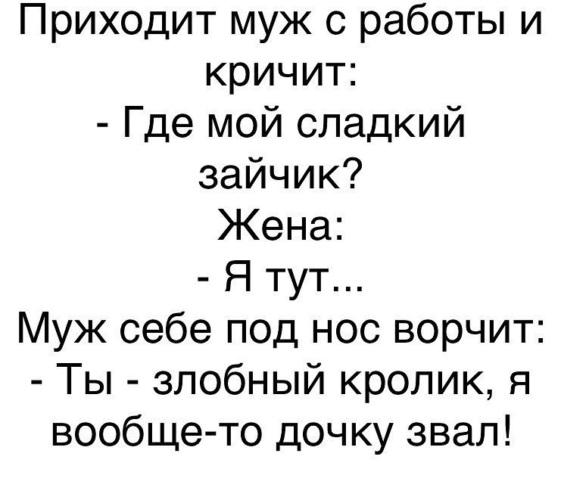 Лента по интересам Юмор 798258 Tabor.ru