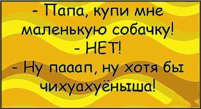 Кулеба потребовал изолировать наших дипломатов Индиана, но не Джонс Дзен