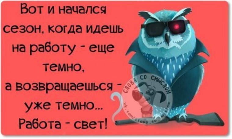 Работать до темна прийти. Юмор про работу. Совет дня на работе. Ироничные статусы в картинках. Афоризмы про работу.