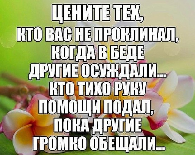 Для тех кто ждёт.. стихи "Если я попаду в беду" Э. Асадова