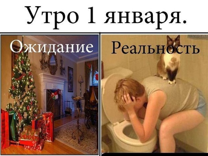 Утро 1 января. 1 Января приколы. Утро 1 января приколы. Утром 1 января приколы. Утро первого января.