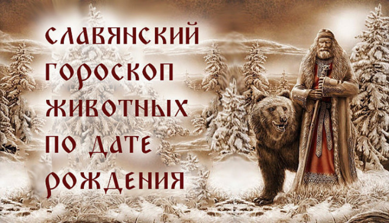 Какой символ по славянскому календарю 2025г А теперь узнайте, кто вы есть на самом деле. - Психология - 841363 - Tabor.ru