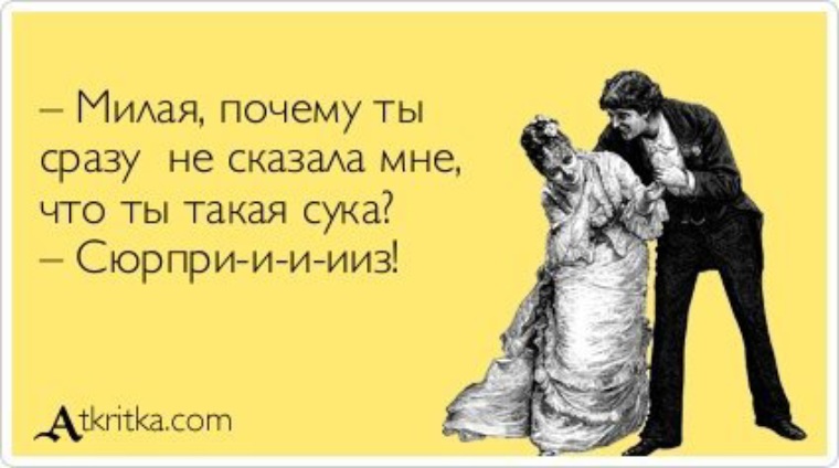 Днем, открытка сука