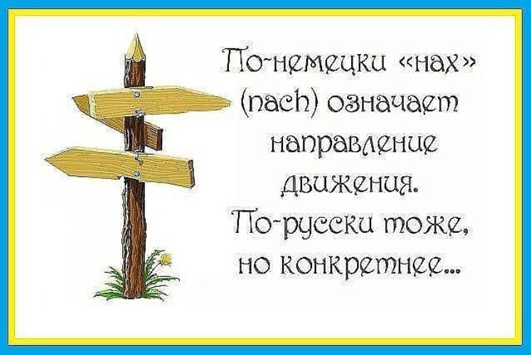 Я пас что значит. Нах по немецки. По немецки нах означает. По немецки нах означает направление движения. По немецки нах это направление.