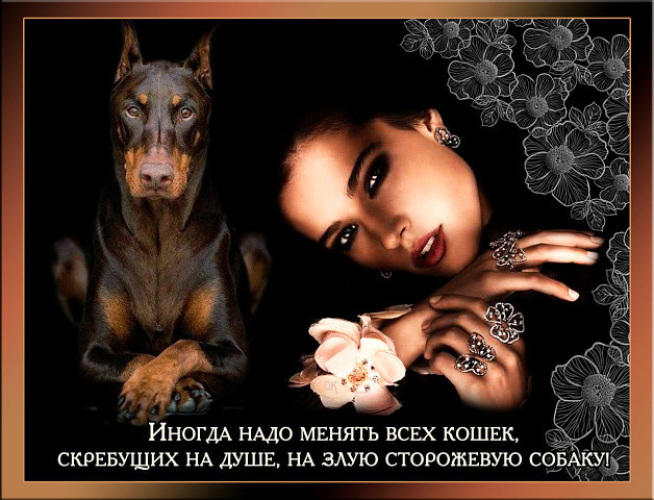 Кошки на душе скребут