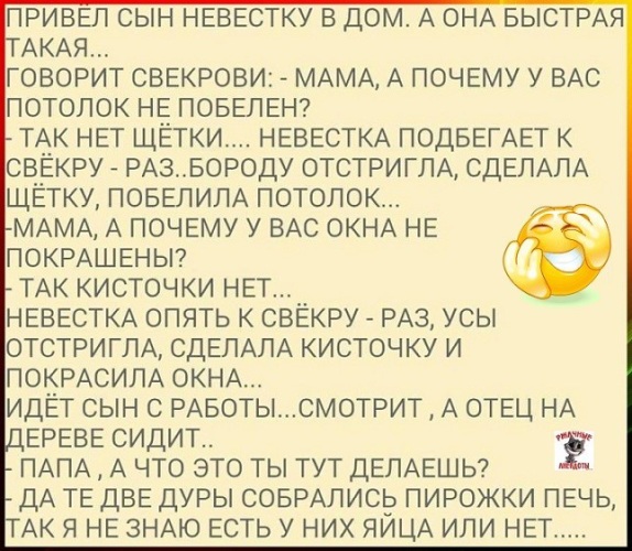 Сноха. Анекдот про невестку и свекра. Слова невестке. Она же невестка. Сноха и невестка.